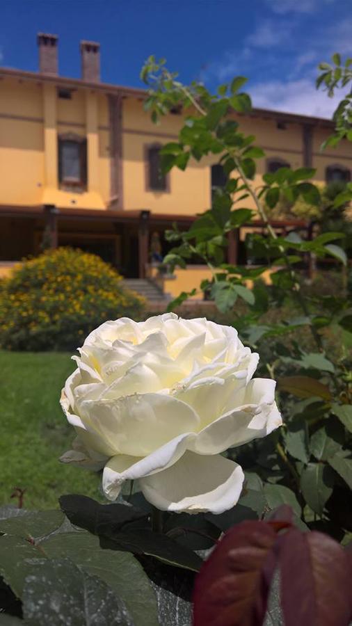 Hotel Boma Countryhouse Casale Bufalotta Exterior foto